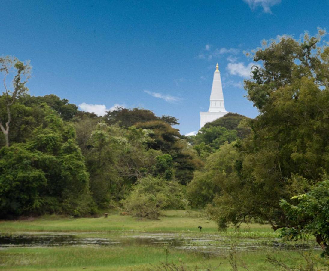 Dula Lake Resort Anuradhapura Eksteriør bilde