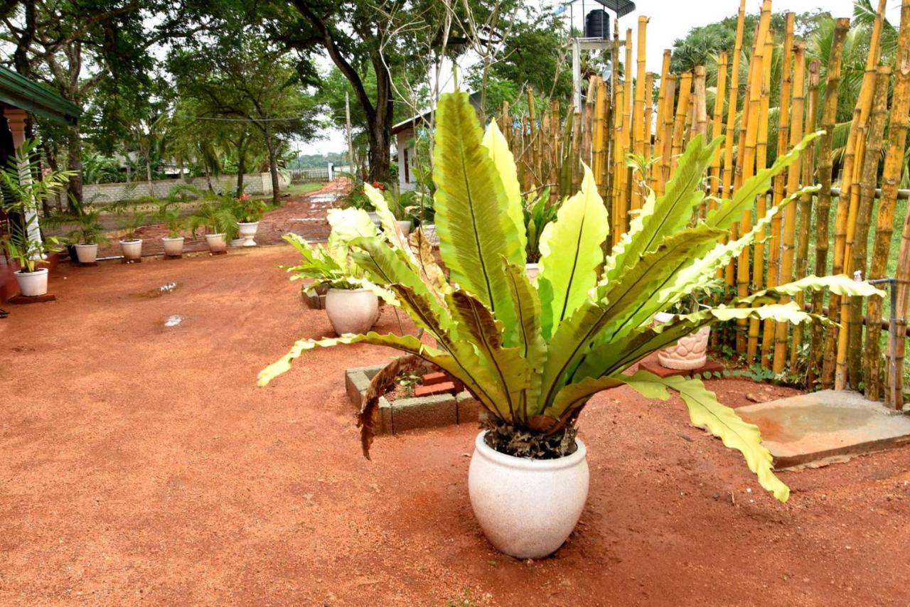 Dula Lake Resort Anuradhapura Eksteriør bilde