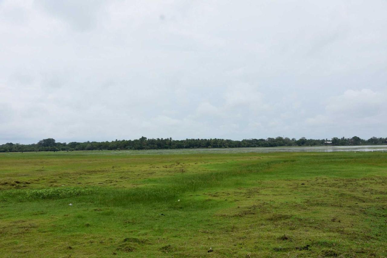 Dula Lake Resort Anuradhapura Eksteriør bilde