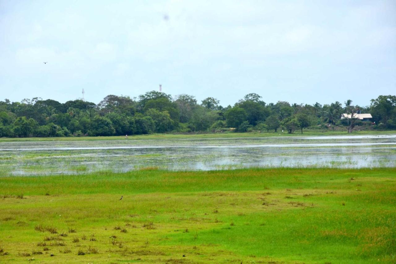 Dula Lake Resort Anuradhapura Eksteriør bilde