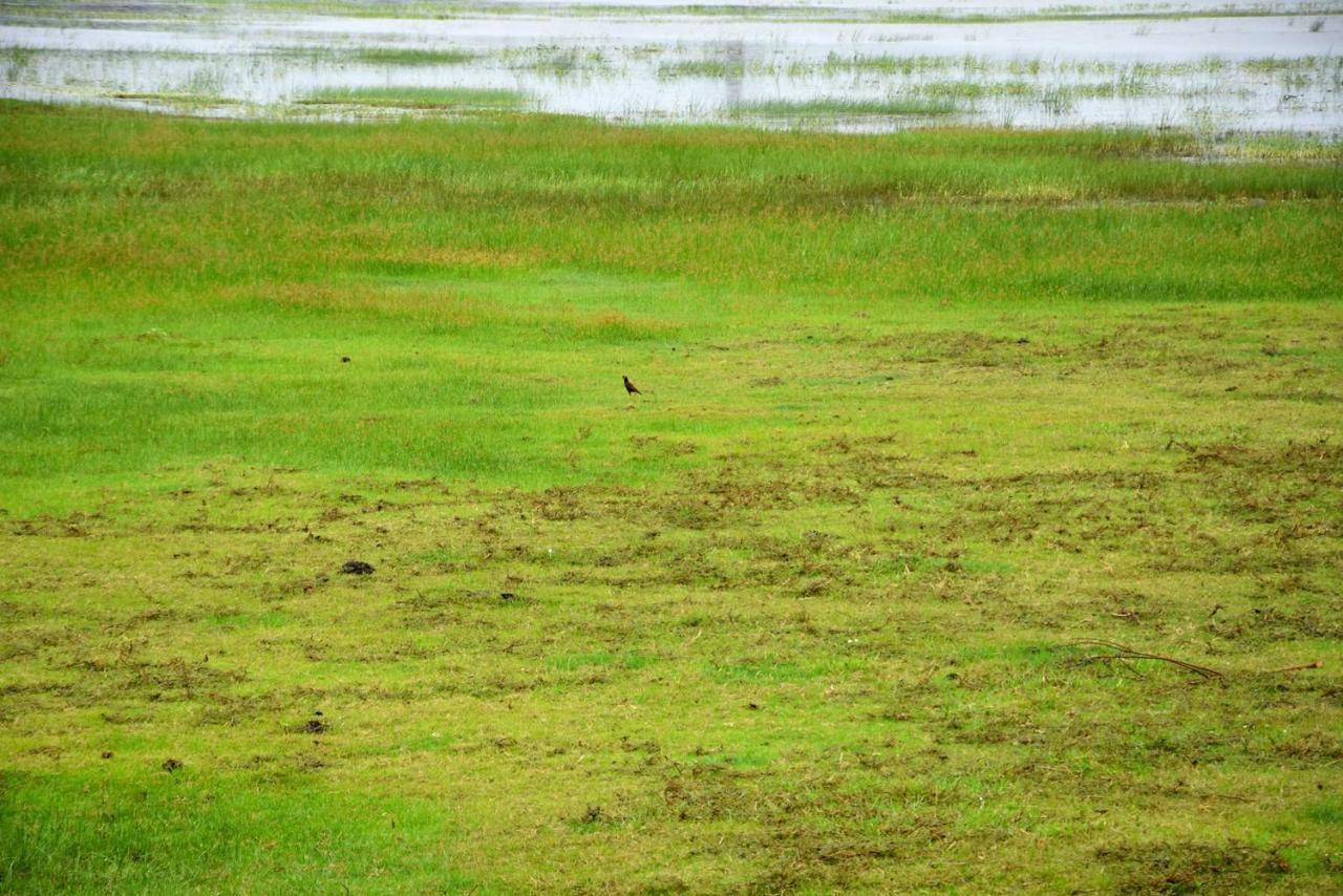 Dula Lake Resort Anuradhapura Eksteriør bilde