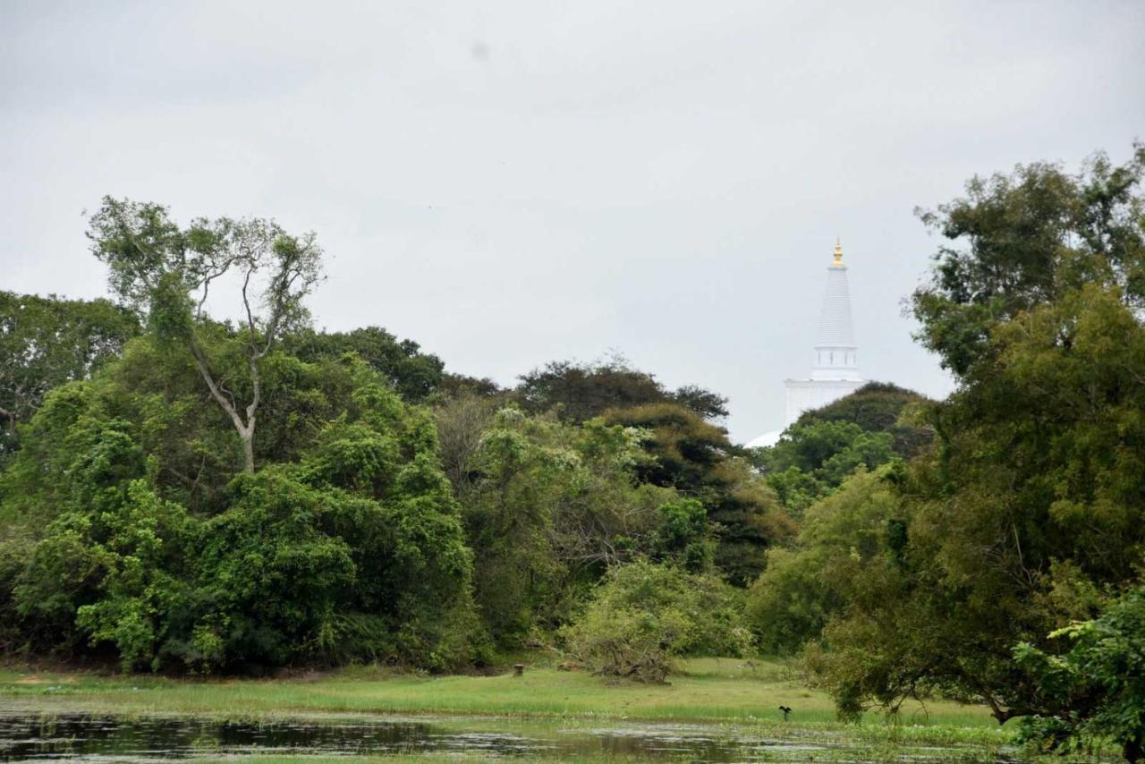 Dula Lake Resort Anuradhapura Eksteriør bilde